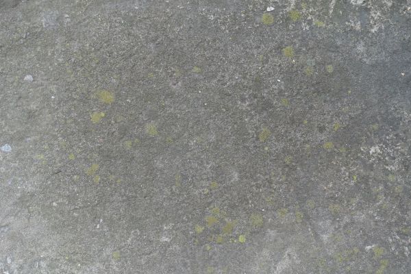 Slab Staining Service in Seattle